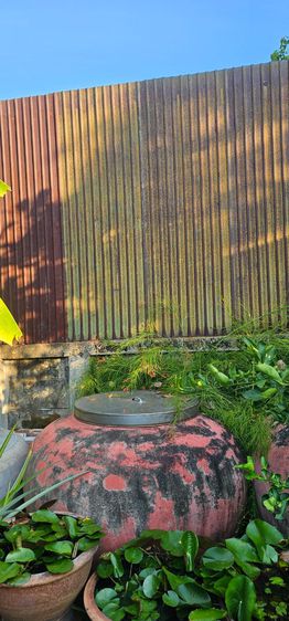 โอ่ง 5 ใบ ให้ฟรี รูปที่ 3