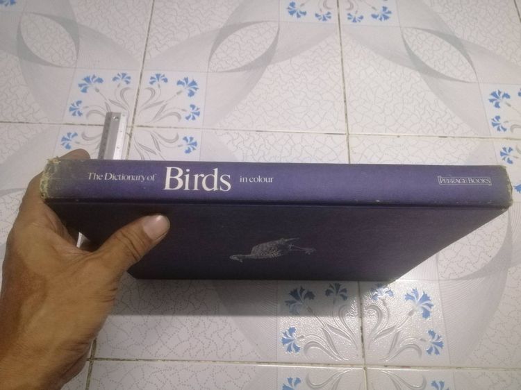 The Dictionary of BIRDS in colour  BY BRUCE CAMPBELL พจนานุกรม นก  รูปที่ 2