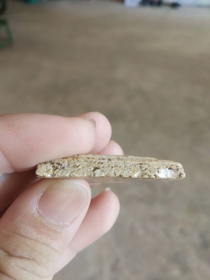 พระเนื้อว่านผสมผง(พระพิมพ์พระสมเด็จพิมพ์ปรกโพธิ์หลังเรียบ(มีรอยแตกหักและชำรุด)(ไม่ทราบพระเกจิที่สร้างไม่ทราบรุ่น)(290401))พระเครื่องของมงคล รูปที่ 15