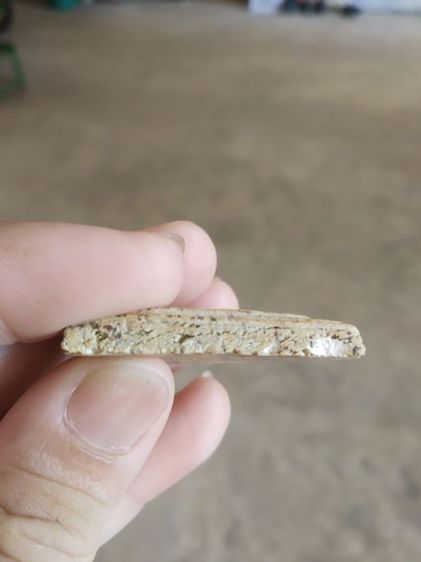 พระเนื้อว่านผสมผง(พระพิมพ์พระสมเด็จพิมพ์ปรกโพธิ์หลังเรียบ(มีรอยแตกหักและชำรุด)(ไม่ทราบพระเกจิที่สร้างไม่ทราบรุ่น)(290401))พระเครื่องของมงคล รูปที่ 13