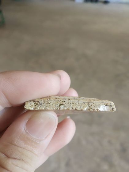 พระเนื้อว่านผสมผง(พระพิมพ์พระสมเด็จพิมพ์ปรกโพธิ์หลังเรียบ(มีรอยแตกหักและชำรุด)(ไม่ทราบพระเกจิที่สร้างไม่ทราบรุ่น)(290401))พระเครื่องของมงคล รูปที่ 14