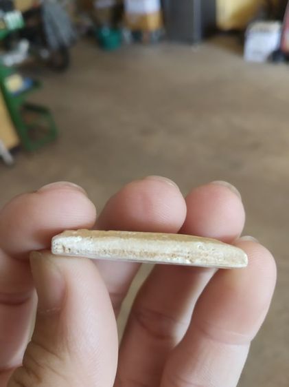 พระเนื้อว่านผสมผง(พระพิมพ์พระสมเด็จหลังเรียบเนื้อออกเหลืองขาว(ไม่ทราบพระเกจิที่สร้าง)(ไม่ทราบอายุและรุ่น)(290404))พระบ้านพระเครื่องของมงคล รูปที่ 15