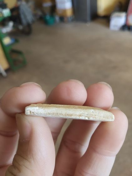 พระเนื้อว่านผสมผง(พระพิมพ์พระสมเด็จหลังเรียบเนื้อออกเหลืองขาว(ไม่ทราบพระเกจิที่สร้าง)(ไม่ทราบอายุและรุ่น)(290404))พระบ้านพระเครื่องของมงคล รูปที่ 11