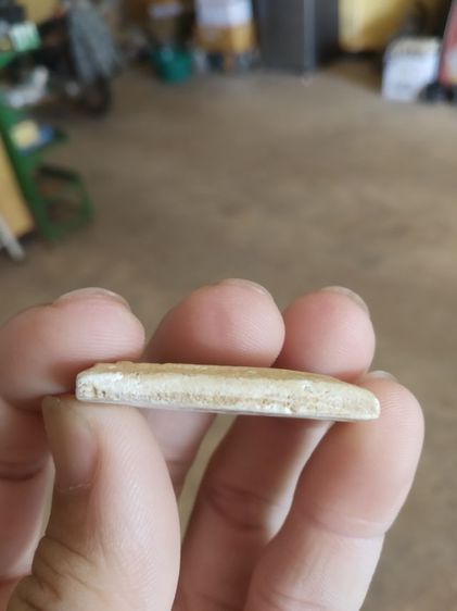 พระเนื้อว่านผสมผง(พระพิมพ์พระสมเด็จหลังเรียบเนื้อออกเหลืองขาว(ไม่ทราบพระเกจิที่สร้าง)(ไม่ทราบอายุและรุ่น)(290404))พระบ้านพระเครื่องของมงคล รูปที่ 14