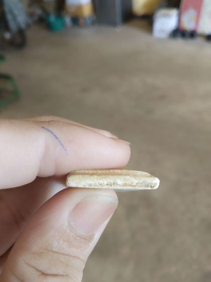 พระเนื้อว่านผสมผง(พระพิมพ์พระสมเด็จหลังเรียบเนื้อออกเหลืองขาว(ไม่ทราบพระเกจิที่สร้าง)(ไม่ทราบอายุและรุ่น)(290404))พระบ้านพระเครื่องของมงคล รูปที่ 17