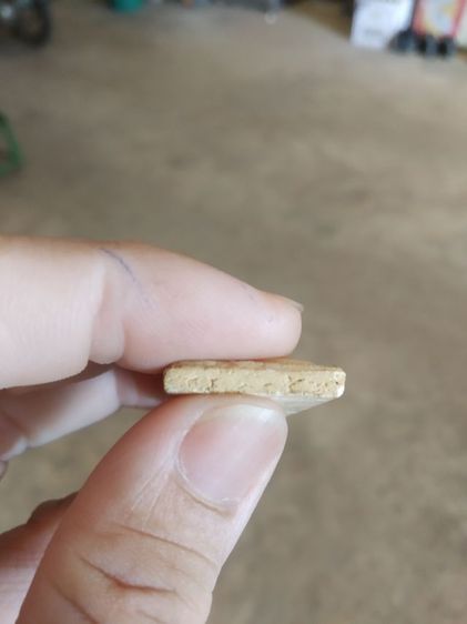 พระเนื้อว่านผสมผง(พระพิมพ์พระสมเด็จหลังเรียบเนื้อออกสีน้ำตาล(ไม่ทราบพระเกจิที่สร้าง)(ไม่ทราบอายุและรุ่น)(290408))พระบ้านพระเครื่องรางของมงคล รูปที่ 17