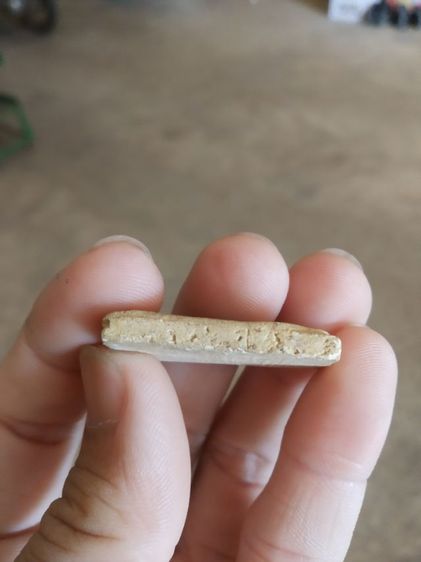 พระเนื้อว่านผสมผง(พระพิมพ์พระสมเด็จหลังเรียบเนื้อออกสีน้ำตาล(ไม่ทราบพระเกจิที่สร้าง)(ไม่ทราบอายุและรุ่น)(290408))พระบ้านพระเครื่องรางของมงคล รูปที่ 12