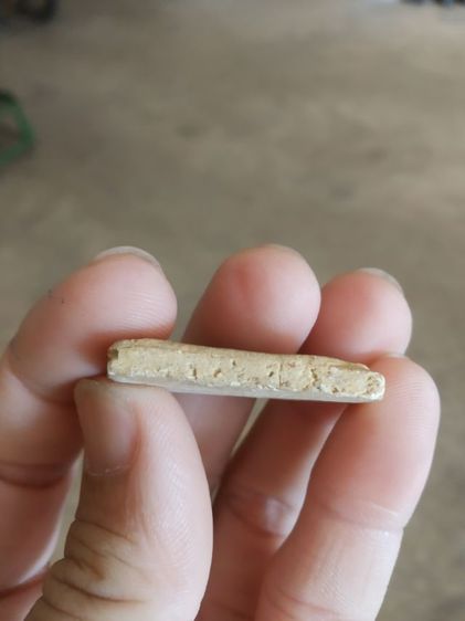 พระเนื้อว่านผสมผง(พระพิมพ์พระสมเด็จหลังเรียบเนื้อออกสีน้ำตาล(ไม่ทราบพระเกจิที่สร้าง)(ไม่ทราบอายุและรุ่น)(290408))พระบ้านพระเครื่องรางของมงคล รูปที่ 10