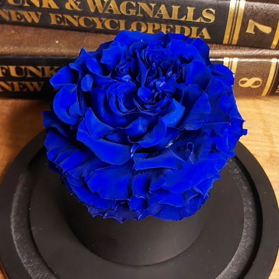 Blue Rose ดอกกุหลาบสีน้ำเงิน สัญลักษณ์แห่งความรักที่มั่นคง ความสมหวังในความรักครับ ชิ้นนี้ แค่วางบนชั้นก็สวยมากๆเลยครับ  รูปที่ 6
