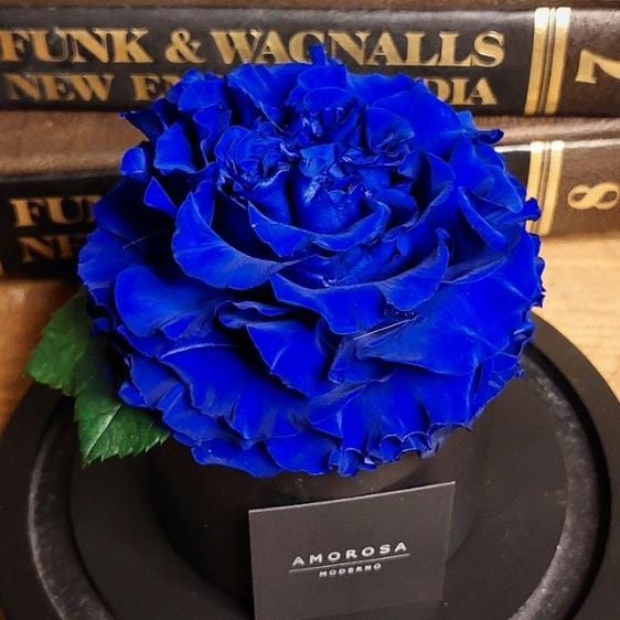 ของตกแต่งบ้านอื่นๆ Blue Rose ดอกกุหลาบสีน้ำเงิน สัญลักษณ์แห่งความรักที่มั่นคง ความสมหวังในความรักครับ ชิ้นนี้ แค่วางบนชั้นก็สวยมากๆเลยครับ มาพร้อมกับฝาครอบแก้ว