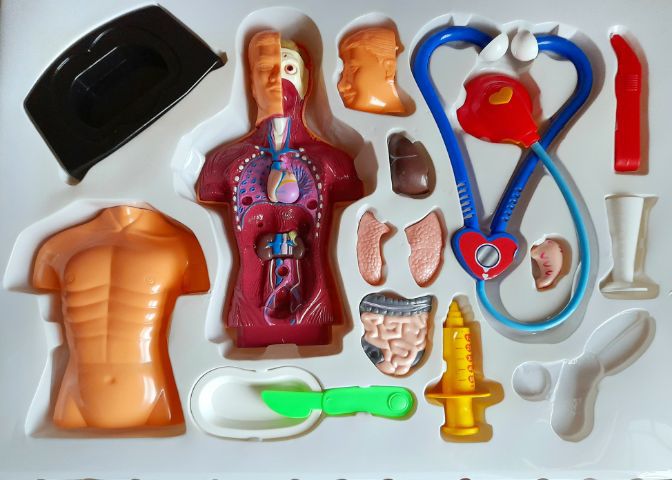 ของเล่นคุณหมอ เซ็ต Doctor Set อวัยวะภายในพร้อมเครื่องมือแพทย์ ของเล่นเด็กเสริมทักษะ ฝึกการพัฒนา สภาพใหม่  รูปที่ 3
