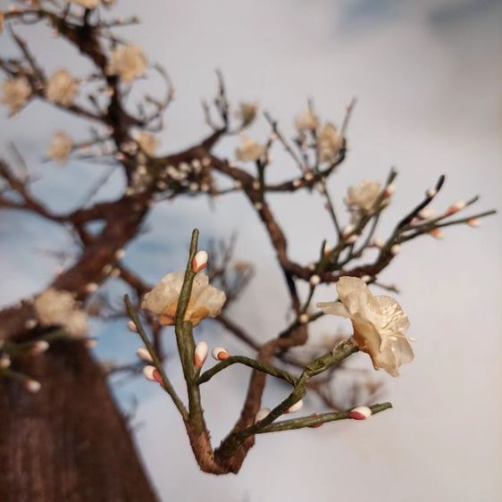 ต้นซากุระ ดอกสีชมพู สวยงาม 
ในรูปแบบ บอนไซ  ปฎิเสธ ไม่ได้ ว่า ซากุระ คือสัญลักษณ์ ของความ ชาวญี่ปุ่นเชื่อ ว่าดอกซากุระเป็นที่สถิตของ ทวยเทพ รูปที่ 4