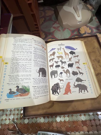 หนังสือเก่า รูปที่ 13