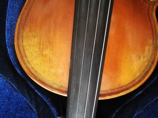 ไวโอลิน Violin รูปที่ 10