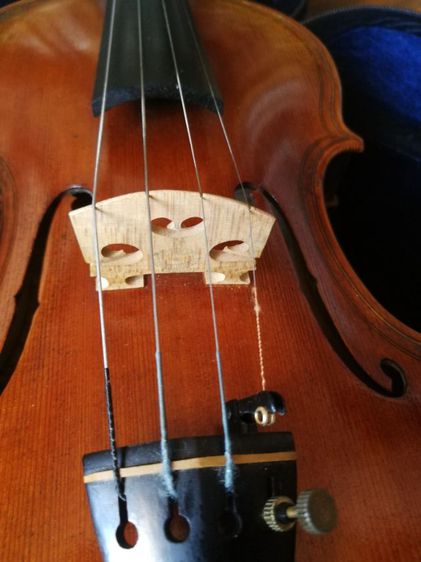 ไวโอลิน Violin รูปที่ 7