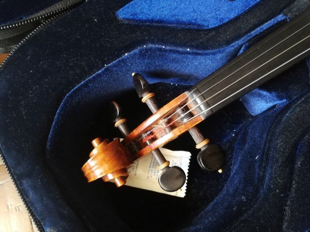 ไวโอลิน Violin รูปที่ 12