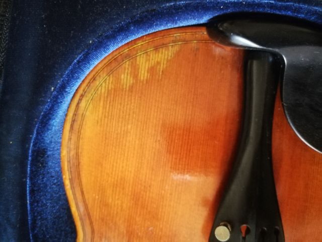 ไวโอลิน Violin รูปที่ 9