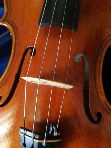 ไวโอลิน Violin รูปที่ 8
