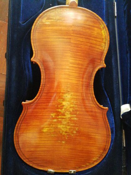 ไวโอลิน Violin รูปที่ 6