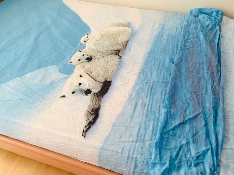 ผ้าปูที่นอนรัดมุม (แบบบาง) ขนาด 5ฟุต สีฟ้าลายหมีขั้วโลกเหนือ ยี่ห้อ Bassetti (Made in Italy) (สภาพใหม่) มือสองสภาพดี สินค้าญี่ปุ่น-เกาหลีแท้ รูปที่ 10