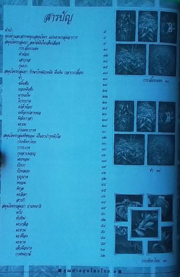 หนังสือ สมุนไพรไทย รูปที่ 3