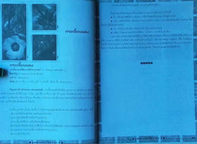 หนังสือ สมุนไพรไทย รูปที่ 6