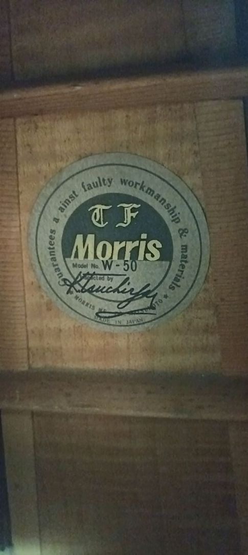 กีต้าร์ Morris w - 50 All solid รูปที่ 2