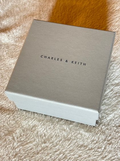 กระเป๋าสะพาย Charles keith รูปที่ 6