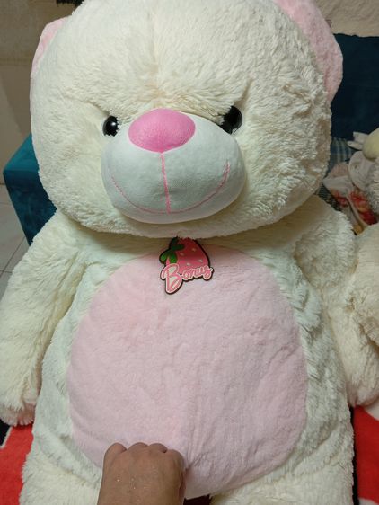 Extra large teddy bear for sale  with give small free ขายตุ๊กตาหมี ซื้อเยอะแถมของฟรี รูปที่ 12