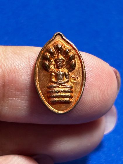 พระนาคปรกเม็ดฟักทอง รุ่นฉลองชัย หลวงปู่หงษ์ พรหมปัญโญ สุสานทุ่งมน(วัดเพชรบุรี) จ.สุรินทร์ ปี 2541 เนื้อทองแดงผิวไฟ ตอกโค้ดชัดเจน รูปที่ 3