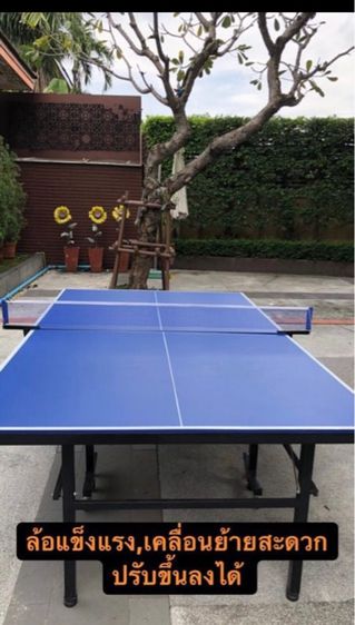 โต๊ะปิงปองกลางแจ้ง outdoor table tennis  รูปที่ 3