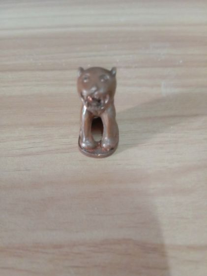 เสือหลวงพ่อสมชาย วัดปาริวาส แท้ เสริมอำนาจ บารมี รูปที่ 6