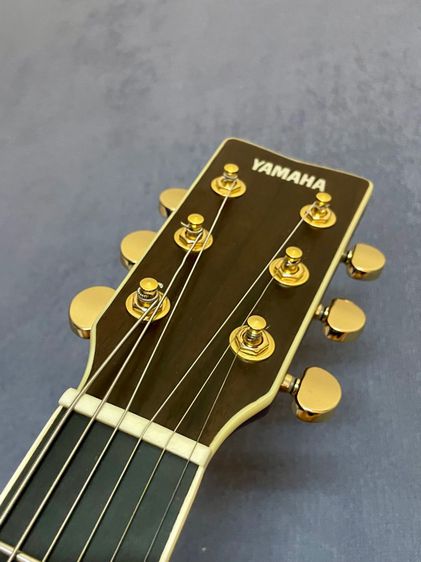 Yamaha LL16D are รูปที่ 15