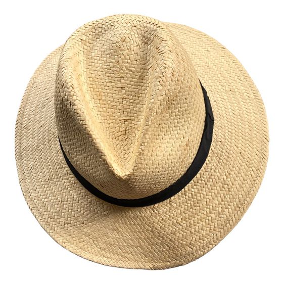 Panama hat  รูปที่ 3
