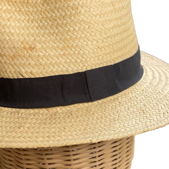 Panama hat  รูปที่ 2