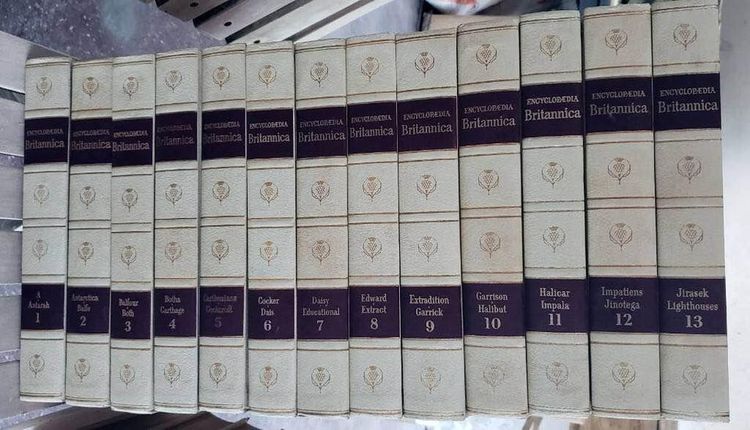Encyclopedia Britannica ปี1965 ครบชุด 23เล่ม + Index + แถม Oxford Dictionary รูปที่ 3