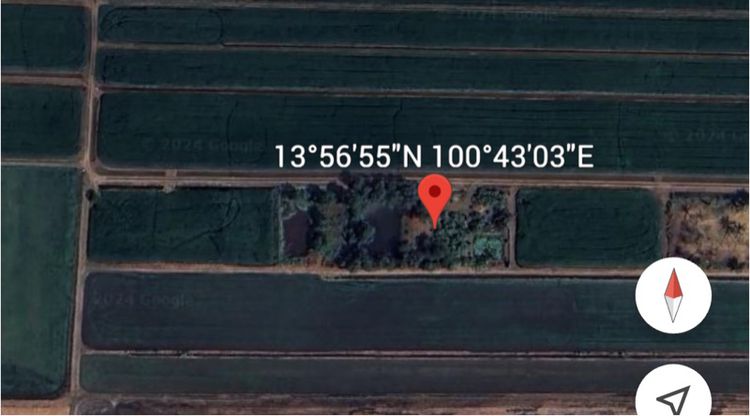 ขายที่ดินคลอง 5 ลำลูกกา ตรวละ 17,000 รูปที่ 3