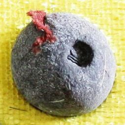 ยอดขุนพล รุ่นแรก พระเจ้าห้าพระองค์ หลวงพ่อทวี  รูปที่ 4