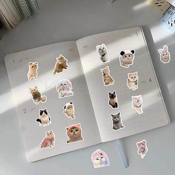 ✅ ขายดี Sticker สติกเกอร์ ลายแมว MEME กันน้ำ สำหรับตกแต่ง งาน DIY จำนวน 50 ชิ้น รูปที่ 7