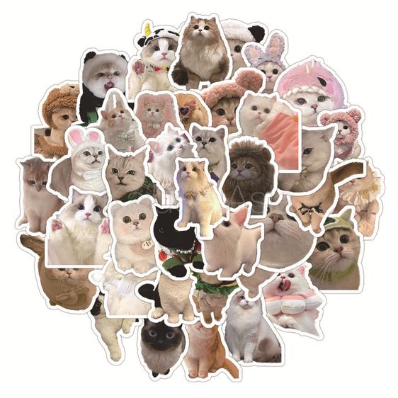 ✅ ขายดี Sticker สติกเกอร์ ลายแมว MEME กันน้ำ สำหรับตกแต่ง งาน DIY จำนวน 50 ชิ้น รูปที่ 3
