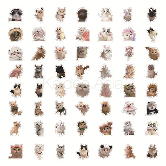 ✅ ขายดี Sticker สติกเกอร์ ลายแมว MEME กันน้ำ สำหรับตกแต่ง งาน DIY จำนวน 50 ชิ้น รูปที่ 2