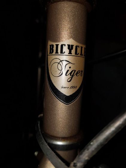 จักรยาน Vintage  รูปที่ 12