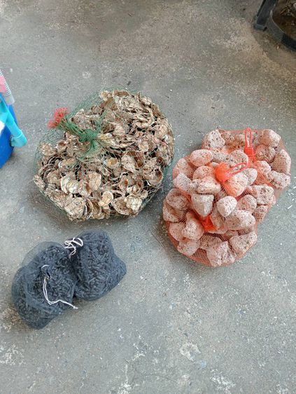 ถังกรองบ่อปลา สูง 46 ซม. กว้าง 33 ซม. รูปที่ 4