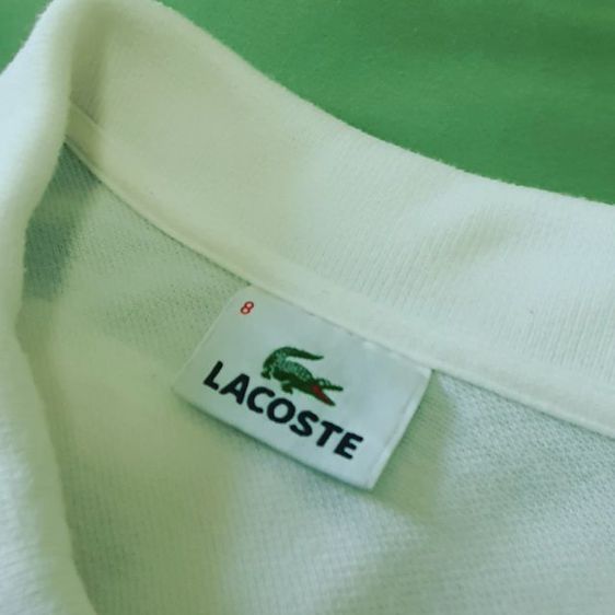 เสื้อคอปก LACOSTE 🐊 แท้ รูปที่ 2