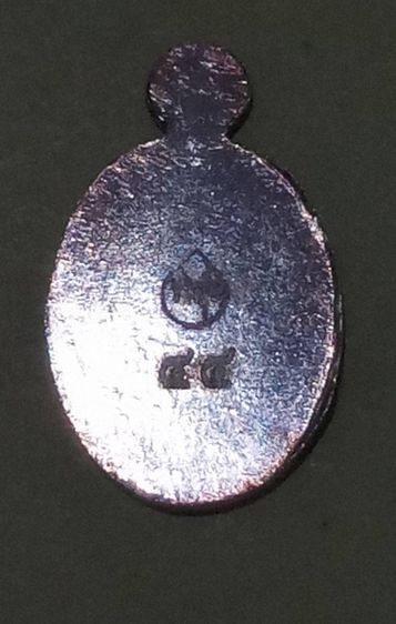 เหรียญหลวงปู่ทวดเม็ดแตงเนื้อเงินลงยา 114 ปีกรมที่ดิน ปี 2558  รูปที่ 5