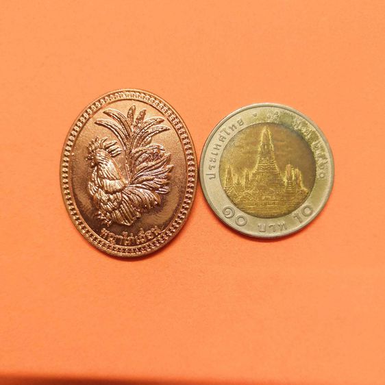 เหรียญ ไฉ่ซิงเอี้ย เทพเจ้าแห่งโชคลาภ หลัง พญาไก่เถื่อน ปี 2560 เนื้อทองแดง สูง 3.2 ซน พร้อมกล่องเดิม รูปที่ 5