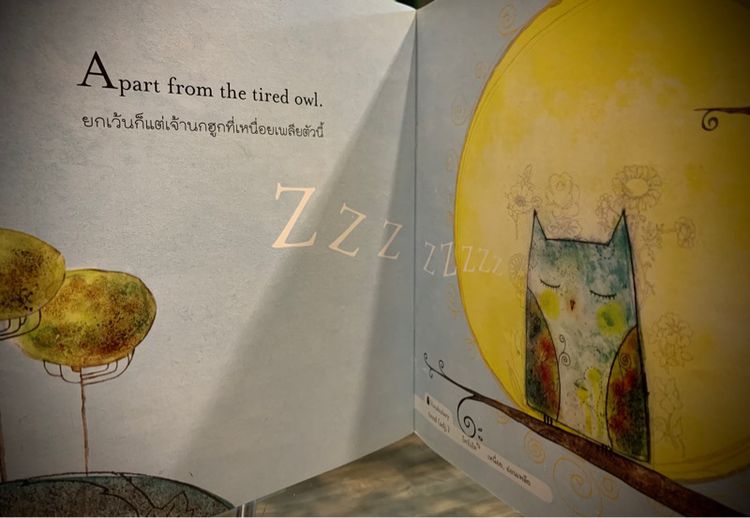 ครอกฟี้ แอบดูสัตว์นอนหลับ A book of Sleep รูปที่ 3