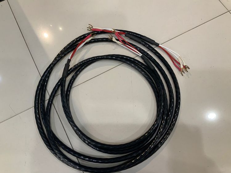ขายสายลำโพงเสียงดี สายโรงงานของแทร่ Discovery 1-2-3 Bi-Wire Spade ก้ามปู ความยาว 2.5M (เมตร) speaker cable made in USA 🇺🇸 ส่งฟรี รูปที่ 4