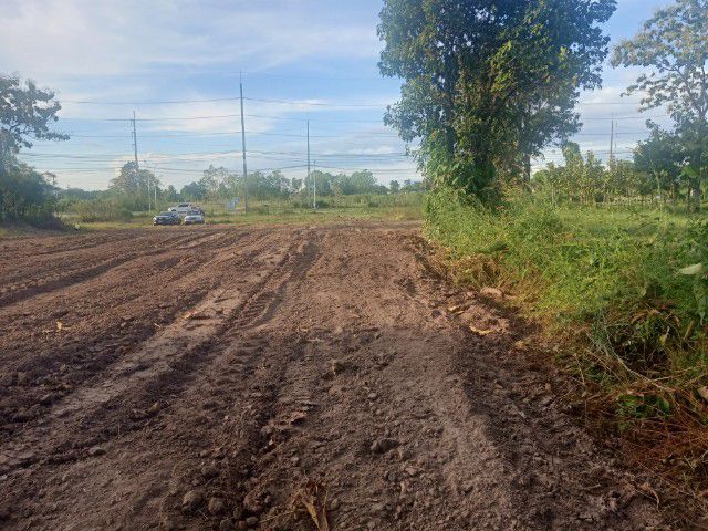 ไม่ใช่ ขายที่ดินแม่สอด 1-2 ไร่ ถนน4 เลนส์ ตก 3 0 5 0 ติดการแม่ฟ้าแม่สอด 2 ราคาแบ่งขาย 1-3 ไร่ติดถนนสาธารณะประโยชน์ เหมาะทำโรงงาน ออฟฟิศสินค้า ขนส่ง รูปที่ 2