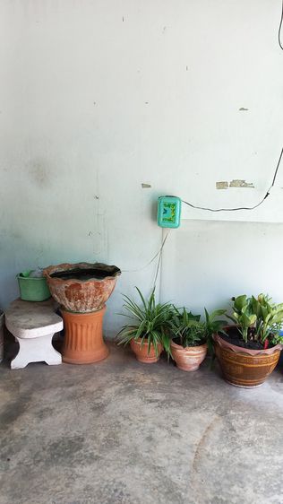 อาคารพาณิชย์ 3 ชั้น อยู่ใกล้โรงเรียนเมรี่อิมมาคุเลตคอนแวนต์ เนื้อที่ 28 ตารางวา รูปที่ 3